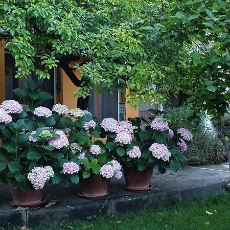 L'Antica Cantina Usini Kültér fotó