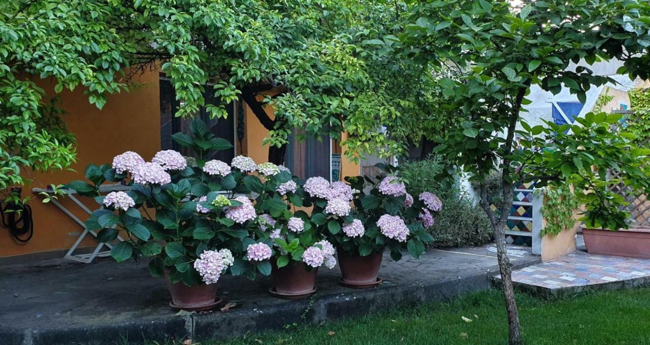 L'Antica Cantina Usini Kültér fotó